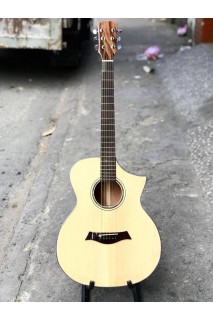  Guitar model HD15 